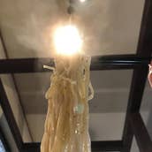 鶏中華そば 火鳥 HINOTORI