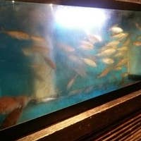産直居酒屋 花の舞 小田急町田南口店 はなのまい 町田 魚介 海鮮料理 Retty