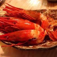 魚菜と純米酒のお店 出汁おしみ つくし だしおしみ つくし すすきの 居酒屋 Retty