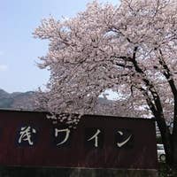 甲州市の美味しいランチ選 人気店から穴場まで Retty