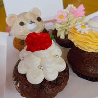 サリーズカップケーキ Sallys Cupcake 円山 盤渓周辺 洋菓子 Retty