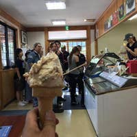 徳山牧場 アイス工房 井原 その他 Retty