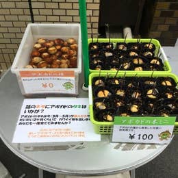 アボカド屋 中津周辺 デリカテッセン Retty アボカド屋 中津周辺 デリカテッセン Retty