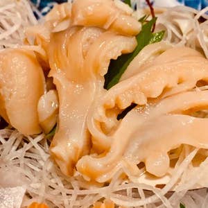 苫小牧 さしみ居酒屋 なか善 なかぜん 口コミ一覧 Retty