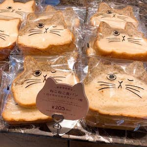 表参道 ねこねこ食パン 表参道店 口コミ一覧 Retty