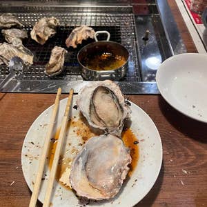 ３日以内に発送します ★ 焼き鳥台★海鮮魚介★牡蠣小屋★掃除よりも買い替え★LP 正規品 NEW 屋台横丁 焼き鳥コンロ 焼き鳥器 家庭用 海鮮焼き