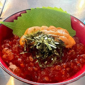 いくら丼 豊洲の海鮮丼セット 至高 約2〜3人前 王様のネギトロ＆無添加生