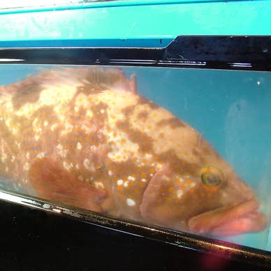 【画像提供:ホットペッパー グルメ】
