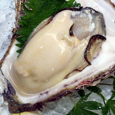 【画像提供:ホットペッパー グルメ】