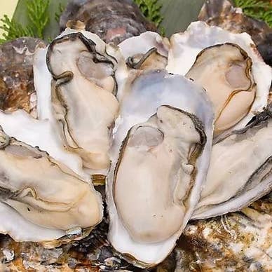 【画像提供：ホットペッパー グルメ】