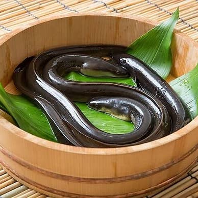 【画像提供:ホットペッパー グルメ】