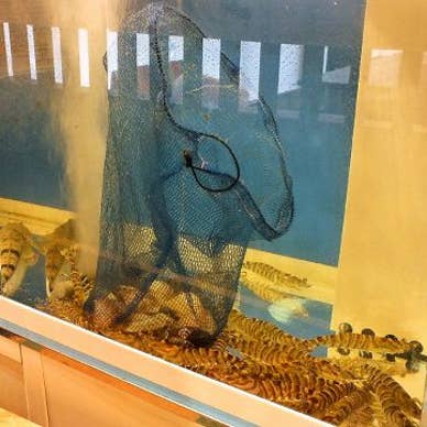 【画像提供:ホットペッパー グルメ】