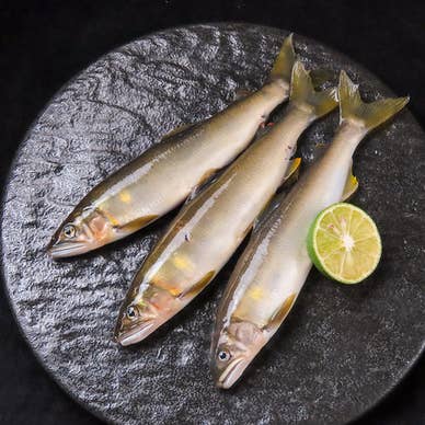 【画像提供：ホットペッパー グルメ】