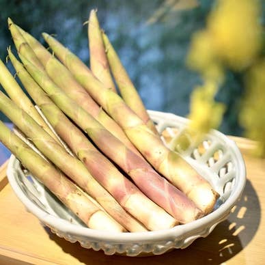 【画像提供:ホットペッパー グルメ】