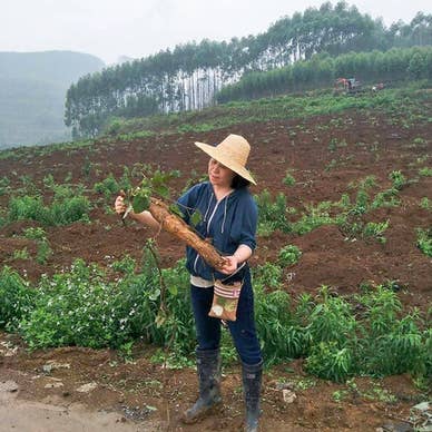 【画像提供:ホットペッパー グルメ】