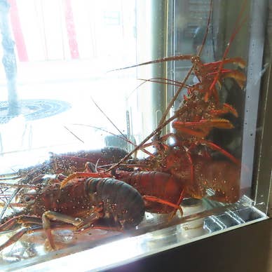 【画像提供:ホットペッパー グルメ】