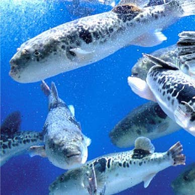 【画像提供:ホットペッパー グルメ】