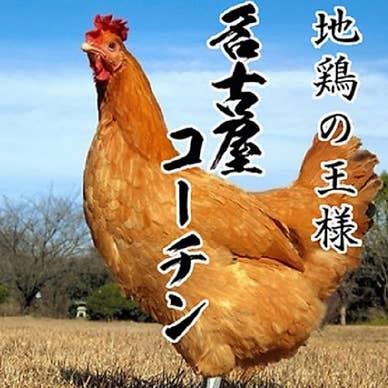 【画像提供:ホットペッパー グルメ】
