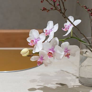 【画像提供:ホットペッパー グルメ】