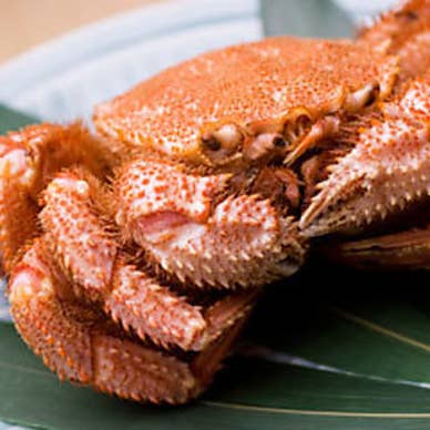 【画像提供:ホットペッパー グルメ】