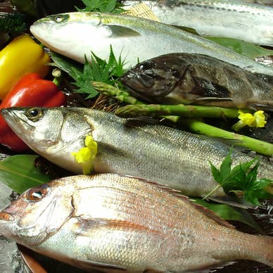 【画像提供：ホットペッパー グルメ】