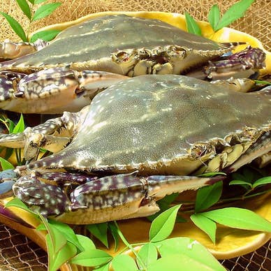 【画像提供:ホットペッパー グルメ】