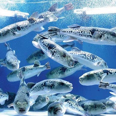 【画像提供:ホットペッパー グルメ】