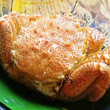 【画像提供:ホットペッパー グルメ】