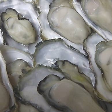【画像提供:ホットペッパー グルメ】