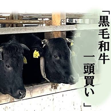 【画像提供:ホットペッパー グルメ】