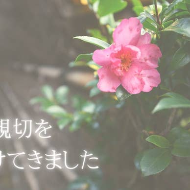 親切