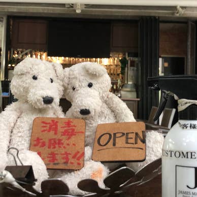 お出迎えのクマから消毒のお願い！
