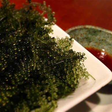 Ryukyu Chinese Dining TAMA MARUNOUCHI