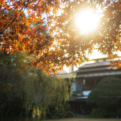 庭園