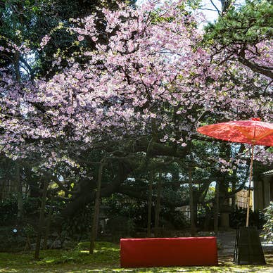 庭園