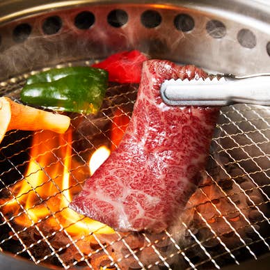 料理写真