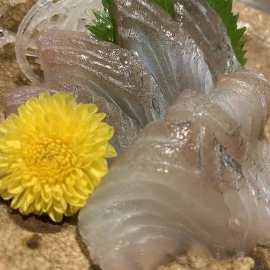 大分産　スズキ刺