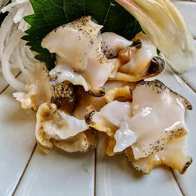 活ツブ貝　刺身