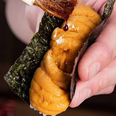 うにドック