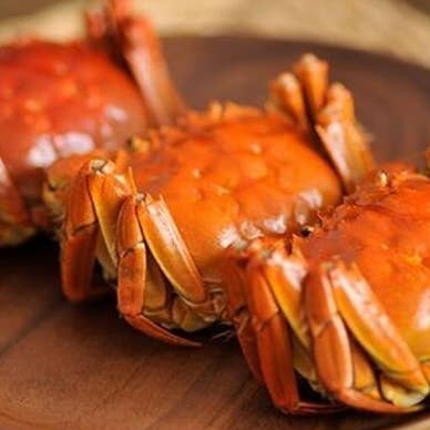 10月より開始の上海蟹