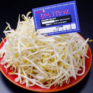 もやしライセンス　