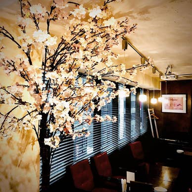 『インドア花見』開催中！店内で桜が楽しめます！！