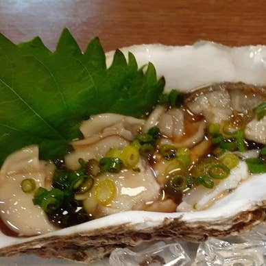 日替わりメニュー　北海道 厚岸 牡蠣