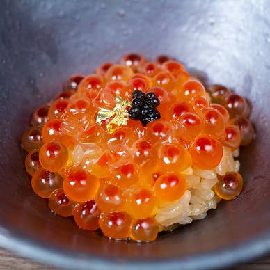 豪華食器×江戸前寿司のコラボレーション