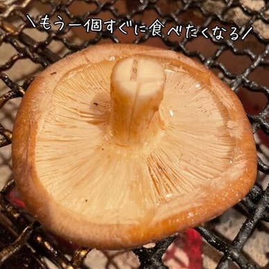 しいたけ日本酒焼 2P