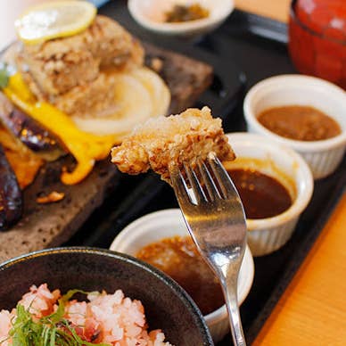 料理写真