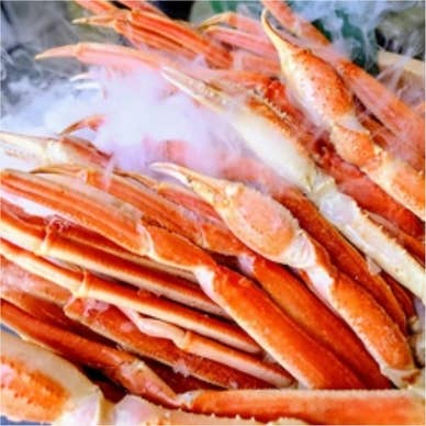 かにざんまい 新宿店