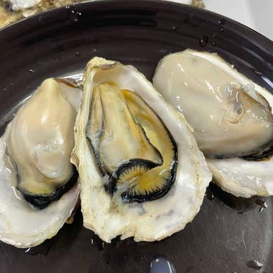 氷温熟成で旨味と栄養分がアップしたプリップリの牡蠣