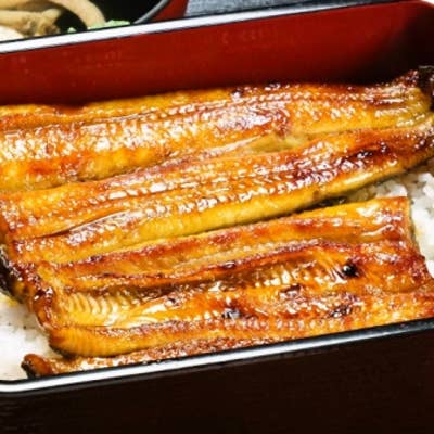 専門魚貝料理大辞典 専門魚貝料理大辞典