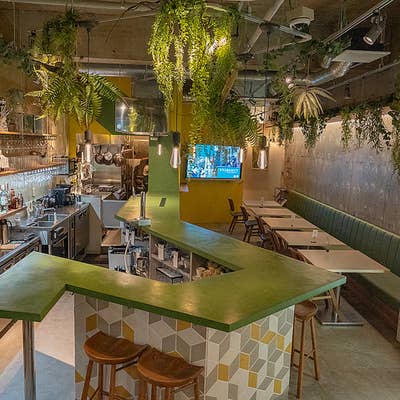 milky cafe　広葉樹林仕様ハリネズミケージ  プロフ必読　送料込 ハリネズミケージ